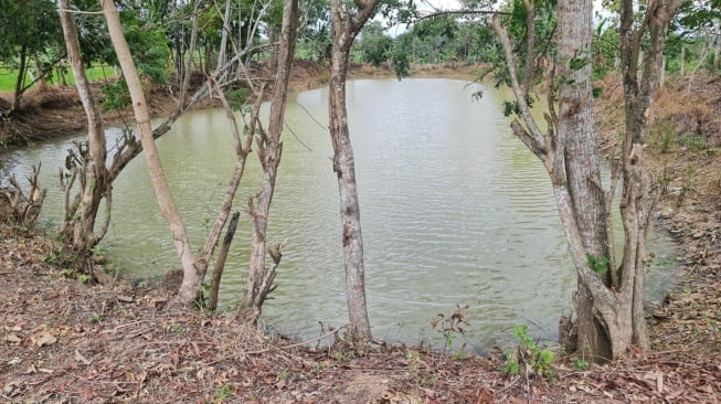 Petani di Wajo Diminta Manfaatkan Embung untuk Hadapi El Nino