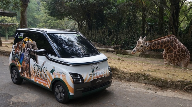 Mobil Listrik Wuling Air ev Gunakan Livery Khusus Bertemakan Satwa