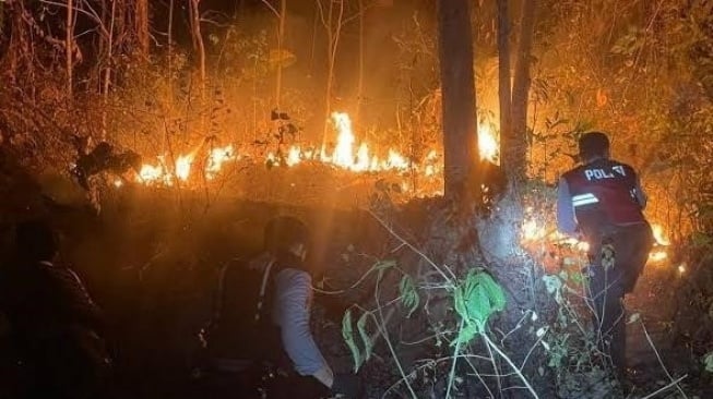 Kebun Jati Seluas 5 Hektare Terbakar di Pagelaran, ODGJ Diduga Jadi Penyebabnya