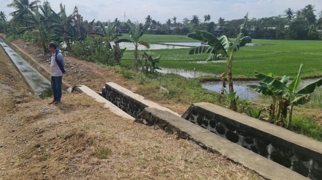 Kementan Gerak Cepat Antisipasi Perubahan Iklim Akibat El Nino