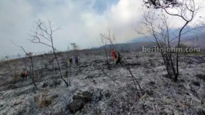 Alamak! Kabakaran Hutan di Lereng Gunung Arjuno Semakin Meluas