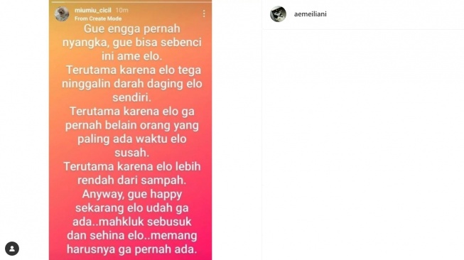 Kerabat Putri Anne diduga sindir Arya Saloka (Instagram/@aemeiliani)