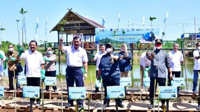 Era Andi Sudirman, Penanaman Mangrove di Wilayah Pesisir Masif Dilakukan