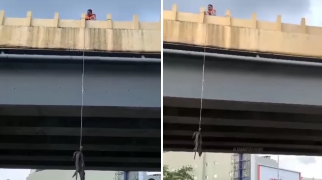 Bangkai Biawak Digantung di Flyover Sudirman Pekanbaru, Pelaku Masih Misterius