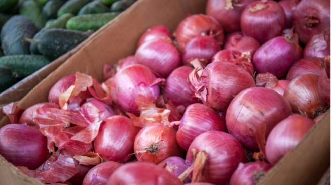 3 Manfaat dari Kulit Bawang, Salah Satunya sebagai Pestisida