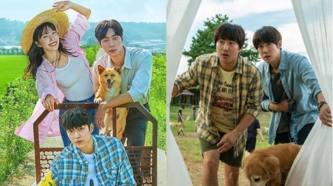 4 Drama dan Film Korea Bertema Hewan Peliharaan, Animal Lovers Merapat!