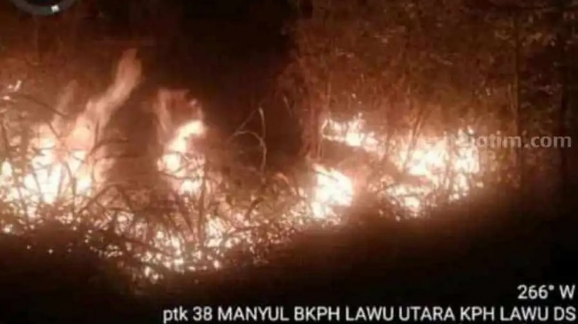 Hutan di Gunung Lawu Kebakaran, Polisi Kirimkan Personel untuk Lakukan Pemadaman