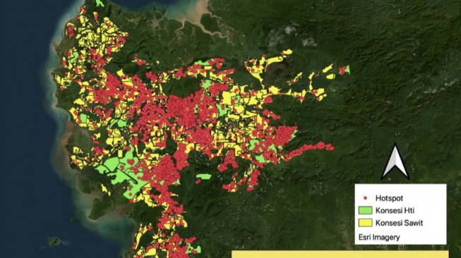 7.376 Titik Panas dari Konsensi Sawit dan HTI Hantam Kalbar Sepanjang Agustus 2023