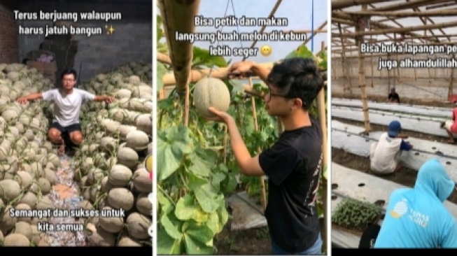 Berkah Pandemi, Intip Kisah Petani Muda yang Sukses Kembangkan Budi Daya Melon