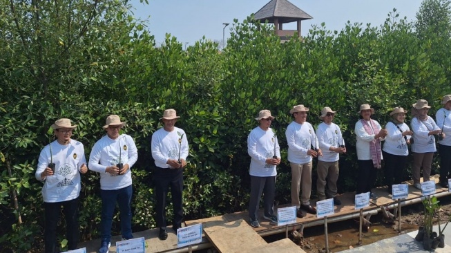 Kolaborasi dengan Pemerintah, Bukit Asam (PTBA) Ikut Aksi Tanam Mangrove