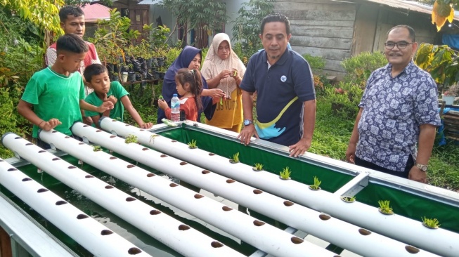 Pabrik AQUA Solok Kembangkan Bertani Sistem Akuaponik, Warga Bisa Panen Kangkung dan Ikan Berbarengan