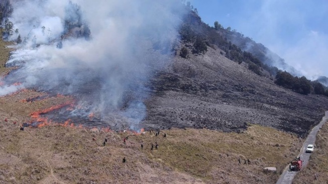 Bukit Teletubbies Bromo Terbakar karena Pengunjung Foto Prewedding Nyalakan Flare, Pelakunya Malah Santai