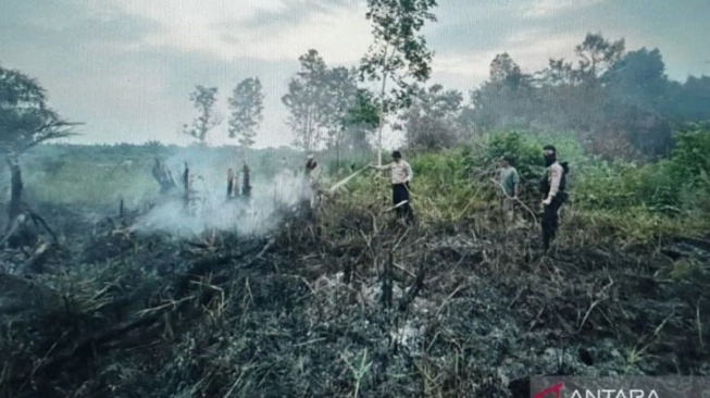 26 Tersangka Ditangkap Terlibat Kasus Karhutla di Sumsel, Ini Motifnya