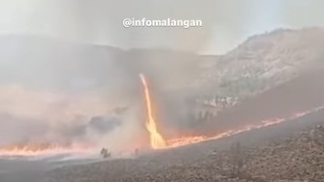 Ngeri! Muncul Tornado Api di Kawasan Savana Bromo