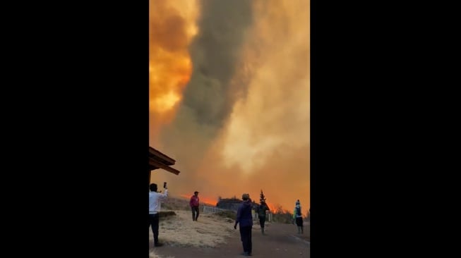 Mengerikan! Begini Penampakan Kebakaran Bromo Akibat Flare Prewedding yang Belum Juga Padam