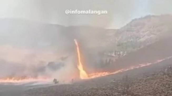 Kebakaran Bromo Telan Biaya Sekitar Rp10,3 Miliar untuk Pemadaman dengan Waterbombing