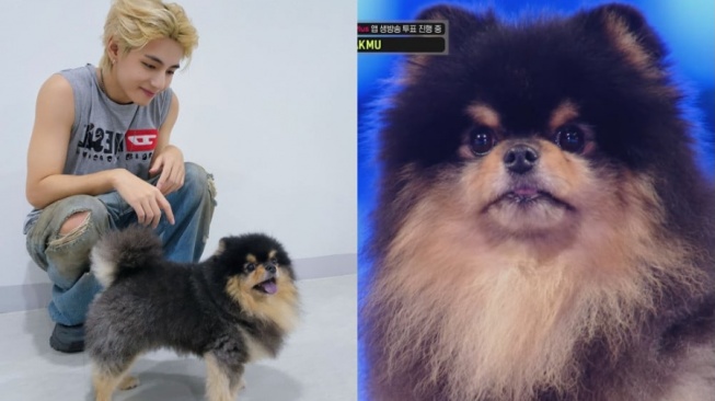 Perdana! Yeontan Akhirnya Tampil Bersama V BTS dan Mengejutkan ARMY