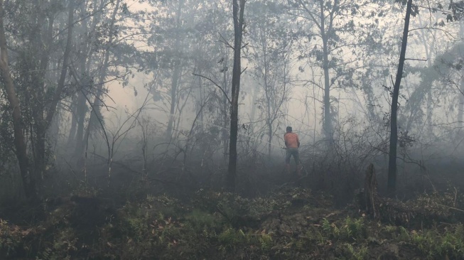 Bandara Internasional Syamsudin Noor Banjarbaru Mulai Terdampak Kebakaran Lahan Gambut