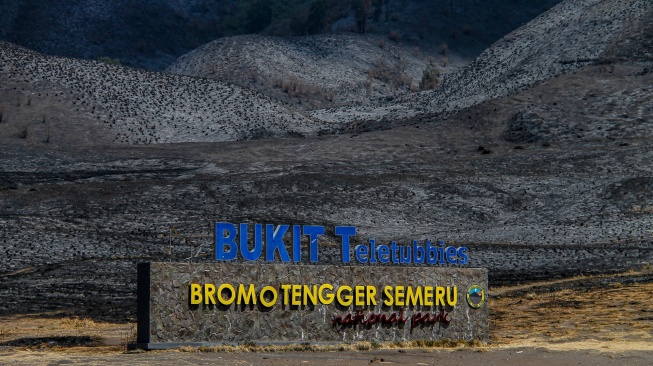 Foto udara kondisi lahan pasca kebakaran di kawasan Gunung Bromo, Probolinggo, Jawa Timur, Jumat (15/9/2023). [ANTARA FOTO/Muhammad Mada/Spt]