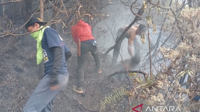 Padang Sabana Alun-alun Suryakencana Gunung Gede Terbakar, Tim Gabungan Pemadaman Diturunkan