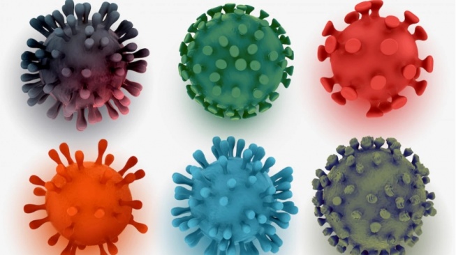 6 Virus Paling Mematikan di Dunia, Mulai dari Ebola hingga Hantavirus