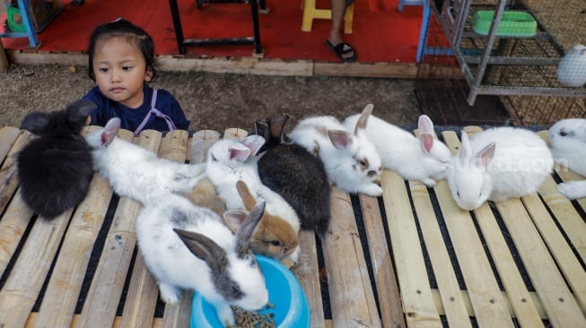 Pengunjung melihat Hewan Peliharaan saat Pameran Flona 2023 di Lapangan Banteng, Jakarta, Rabu (20/9/2023). [Suara.com/Alfian Winanto]