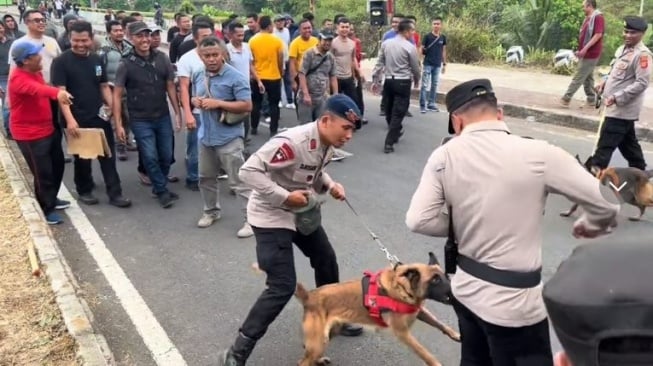 Detik-detik Anjing Polisi Gigit Komandan Polisi di Depan Demonstran