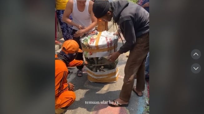 Belasan Tahun Terbengkalai, Rumah di Jakarta Timur yang Jadi Sarang Ular Sanca Bikin Geger Publik