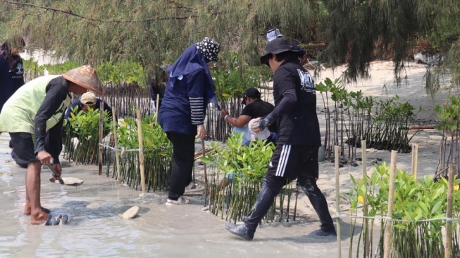 BRI Kembali Tanam Bibit Mangrove di Pulau Tidung, Total 10.500 Bibit di 2023