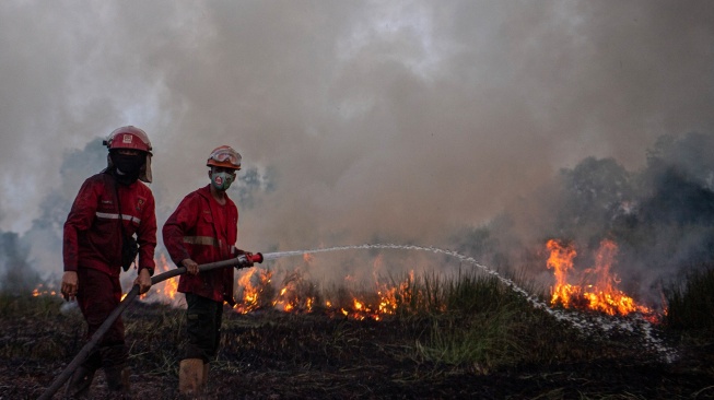 Petugas Manggala Agni Daops Banyuasin berupaya memadamkan kebakaran lahan di Desa Muara dua, Kecamatan Pemulutan, Kabupaten Ogan Ilir (OI), Sumatera Selatan, Kamis (21/9/2023). [ANTARA FOTO/Nova Wahyudi/rwa]