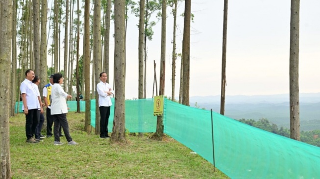 Jokowi mengajak para menteri ekonomi untuk menikmati pemandangan IKN dari atas Bukit (tangkapan layar laman Setkab.go.id)