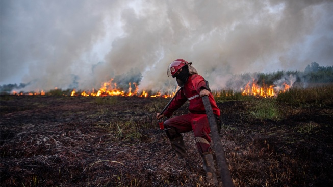 Petugas Manggala Agni Daops Banyuasin menarik selang air untuk memadamkan kebakaran lahan di Desa Muara dua, Kecamatan Pemulutan, Kabupaten Ogan Ilir (OI), Sumatera Selatan, Kamis (21/9/2023). [ANTARA FOTO/Nova Wahyudi/rwa]
