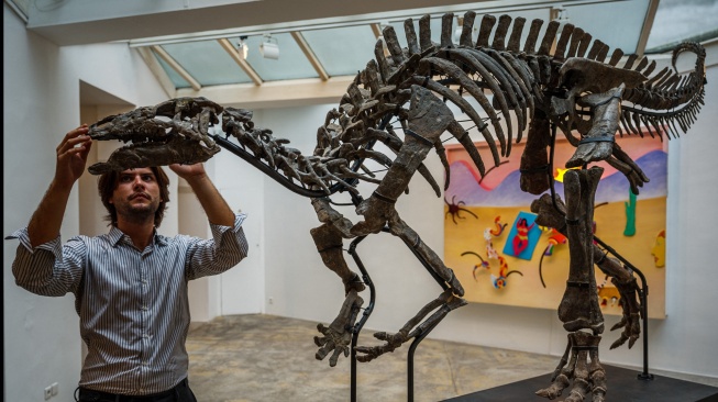 Seorang ahli merakit kerangka Barry, seekor Camptosaurus dari zaman jurassic yang dipajang di galeri Georges-Philippe & Nathalie Vallois di Paris, Prancis, Senin (18/9/2023). [Dimitar DILKOFF / AFP]
