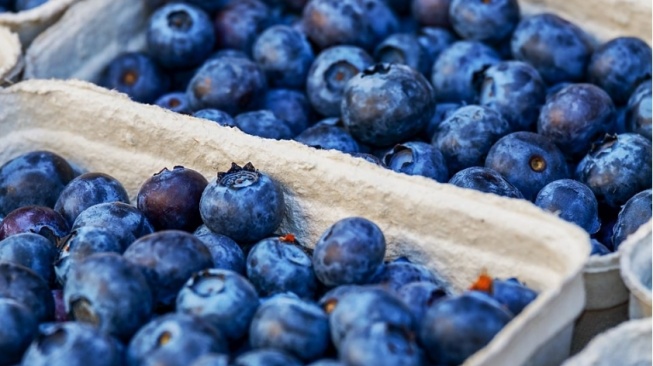 3 Alasan Makan Blueberry Tiap Hari Bisa Bikin Panjang Umur