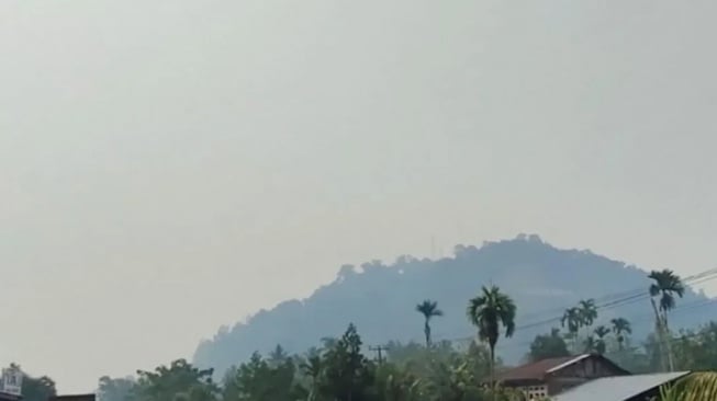 Kabut Asap Selimuti Dharmasraya Sumbar, Diduga Kiriman dari Jambi