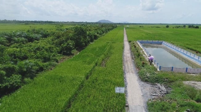 350 Hektare Sawah Kekeringan di Lumajang, Kementan Siap Atasi dengan Infrastruktur