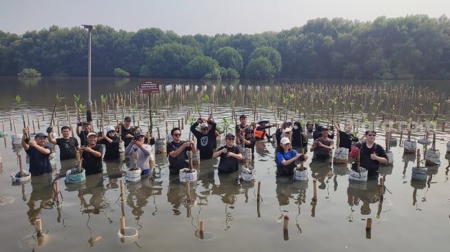 Alasan Produsen Seafood DSFI Tanam 50 Pohon Mangrove: Dari Laut untuk Laut!