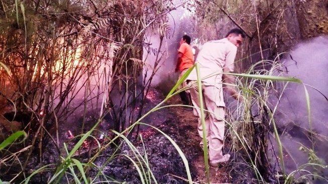 Semakin Meluas, Kebakaran Hutan Gunung Lawu Mencapai 60 Hektar