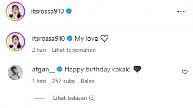 Komentar Afgan di ulang tahun Rossa jadi sorotan  (Instagram/@itsrossa910)