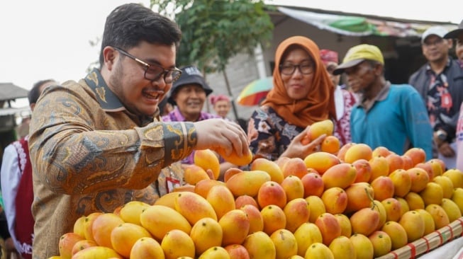 Pesan Mas Dhito untuk Petani Mangga Podang: Jangan di Booster