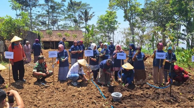 Dukung Petani Indonesia, PNM Beri 10.000 Lebih Bibit Unggul Untuk Panen