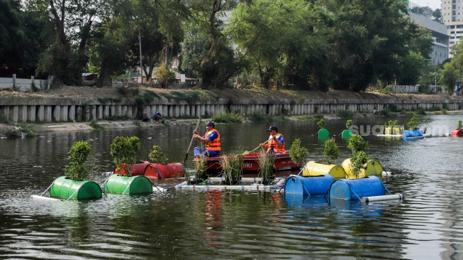 Petugas menyiram tanaman yang ada di dalam Pot Apung di Waduk Melati, Jakarta, Jumat (6/10/2023). [Suara.com/Alfian Winanto]