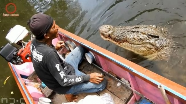 Fakta Menarik Buaya Riska, Si Jinak Dianggap Anak Sendiri oleh Pak Ambo