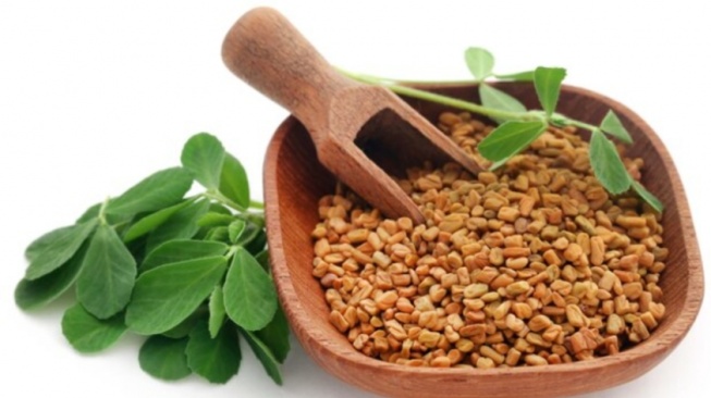 5 Manfaat Herbal Fenugreek Bagi Kesehatan Salah Satunya Melancarkan Asi