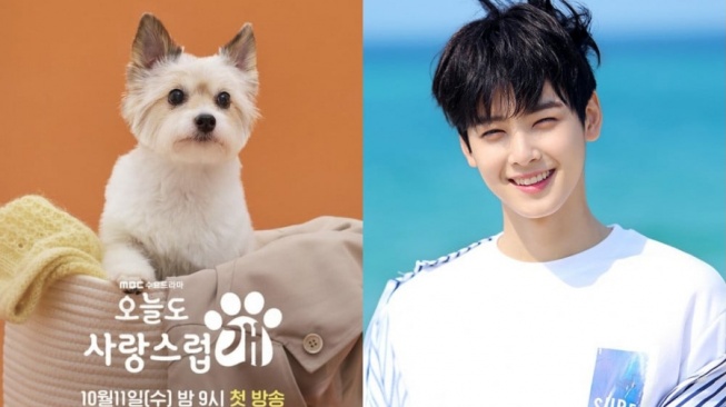 Bintangi A Good Day to Be a Dog, Cha Eun Woo Ungkap Pengalaman Cium Anjing