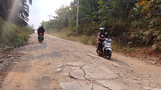 4 Perusahaan Batu Bara Diultimatum Tidak Melintasi Jalan Umum di Pali: Bikin Jalan Rusak