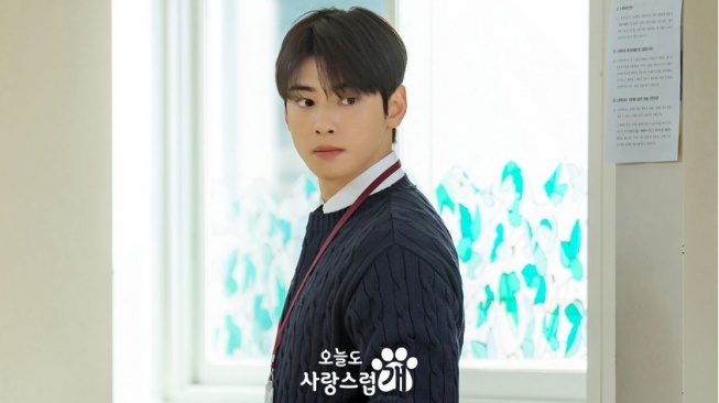 4 Drama Korea Cha Eun Woo, Dominasi Genre Komedi Romantis