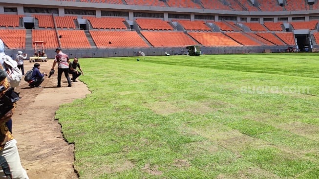 Pemasangan rumput JIS, Kamis (19/10/2023). (Suara.com/Fakhri Fuadi)