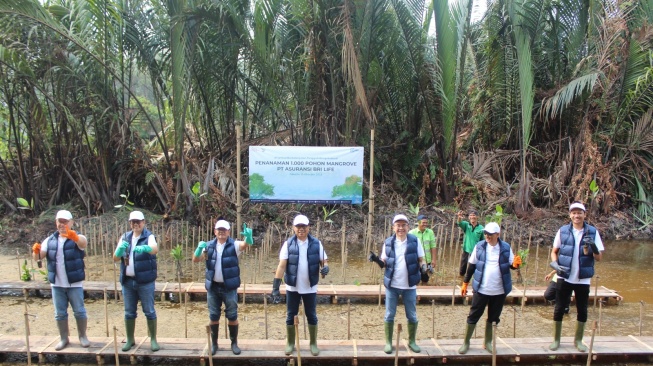 Mangrove, Pohon Ajaib yang Menyerap Karbon 20x Lebih Banyak dari Hutan Tropis