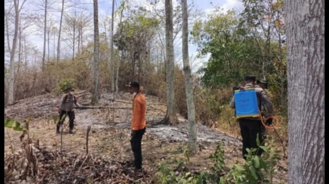 29 Titik Panas Tersebar di 3 Kabupaten di Kaltim, Ini Lokasinya